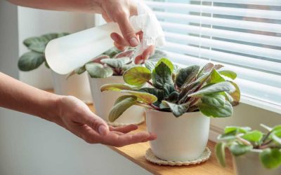 A szerviz éveket ad a berendezésnek